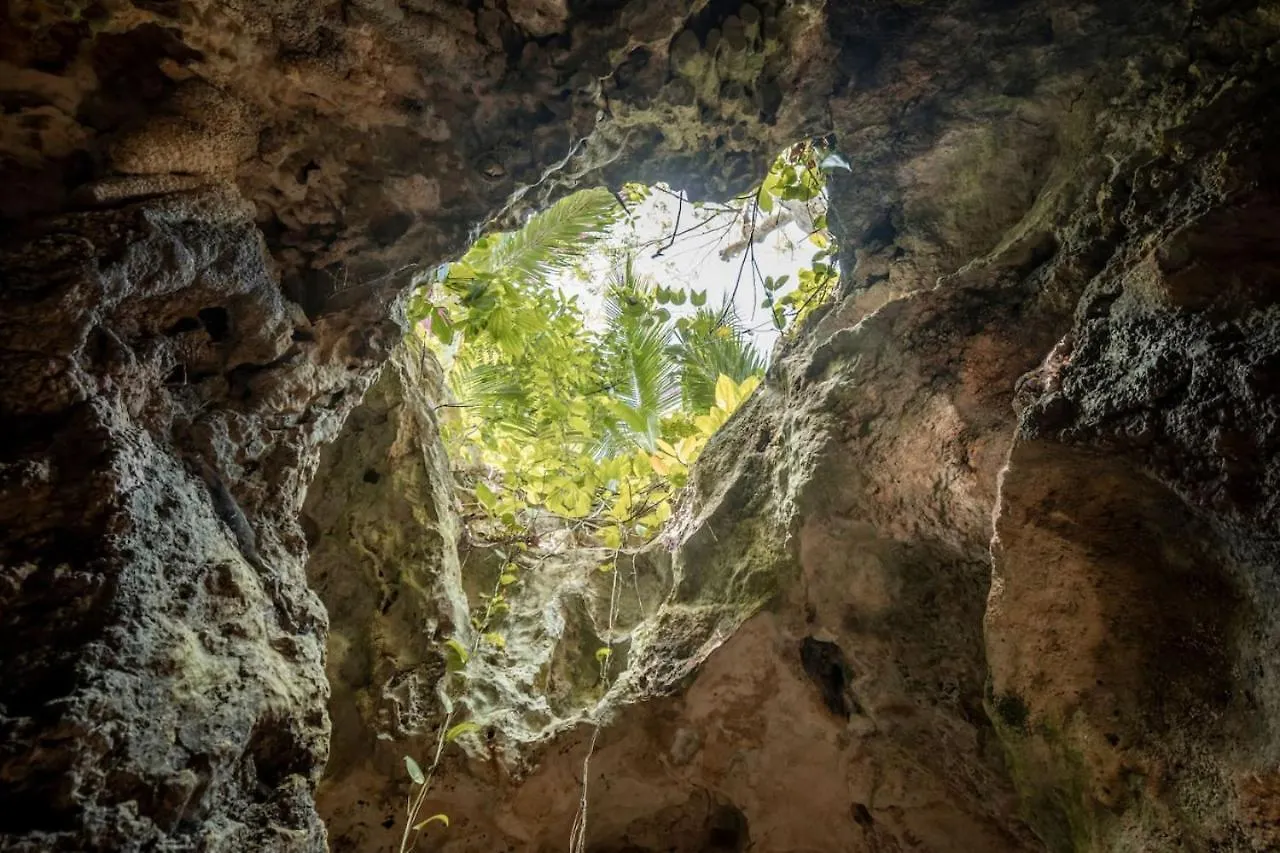 ホテル Xcaret Oasis Private Cave For 3 プレヤデルカーメン